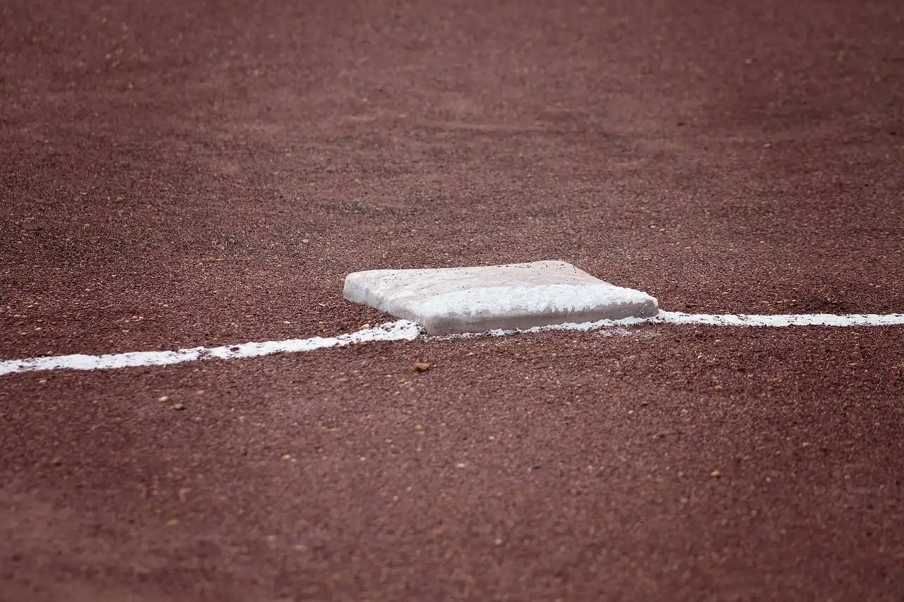 Reddybook Review: Comprehensive Guide to Features, Benefits, and 11xplay Integration